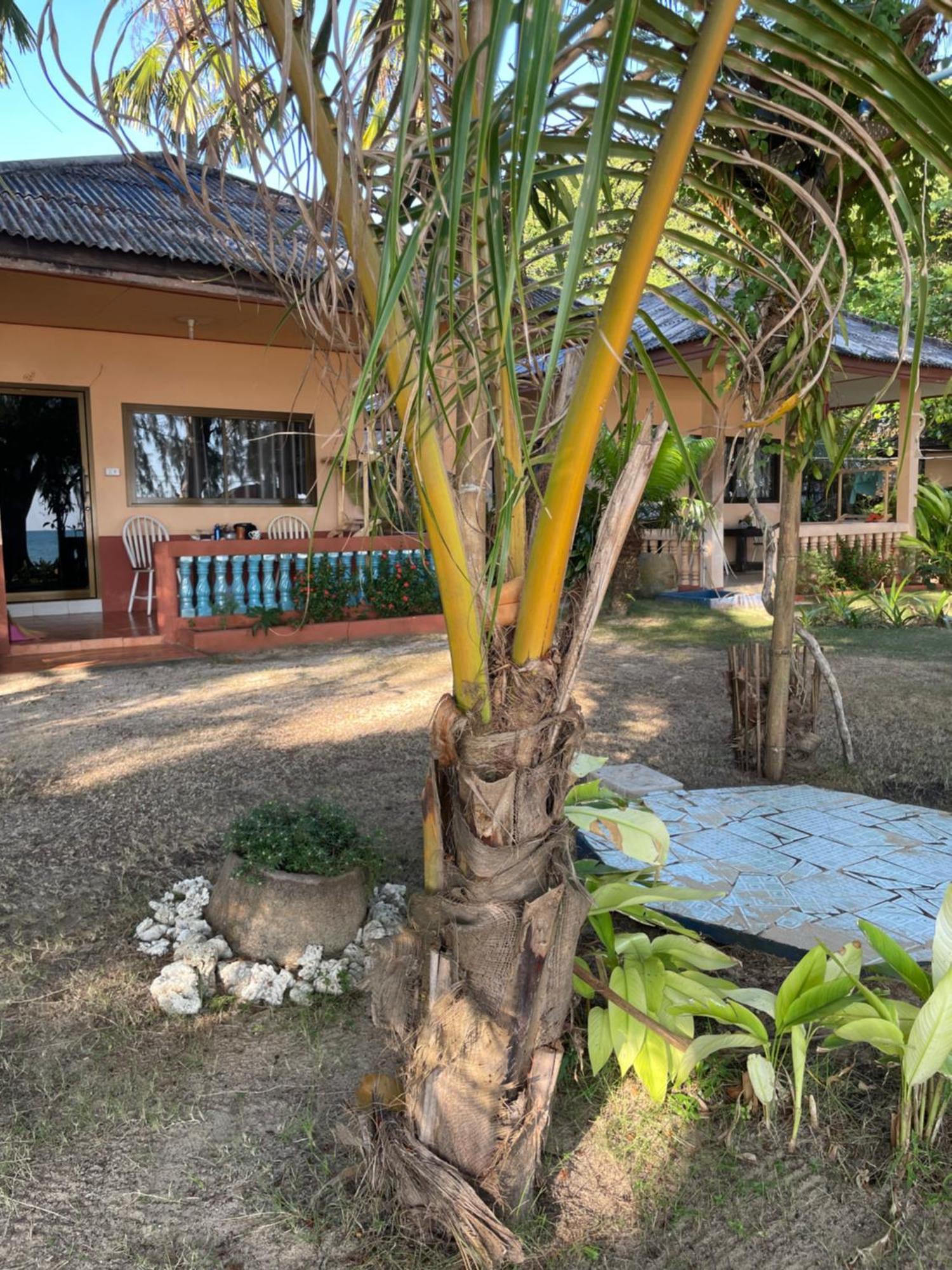 Baanyaiguesthouse Koh Mak Esterno foto